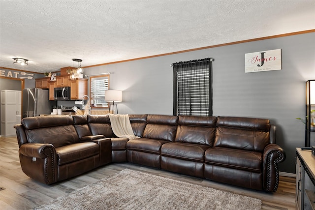 living room featuring a textured ceiling, light hardwood / wood-style flooring, and ornamental molding