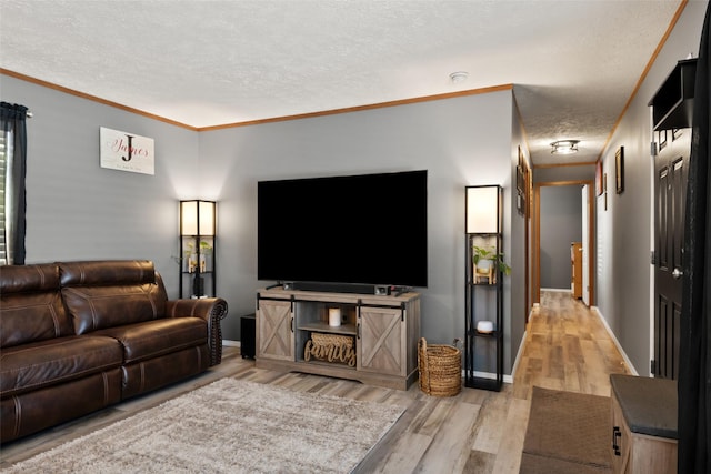 living room with light wood-type flooring, ornamental molding, and a textured ceiling