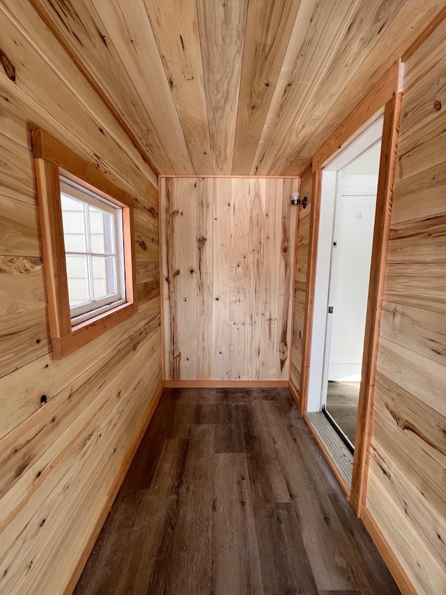 interior space featuring wooden walls, wood ceiling, dark wood-style flooring, and a sauna