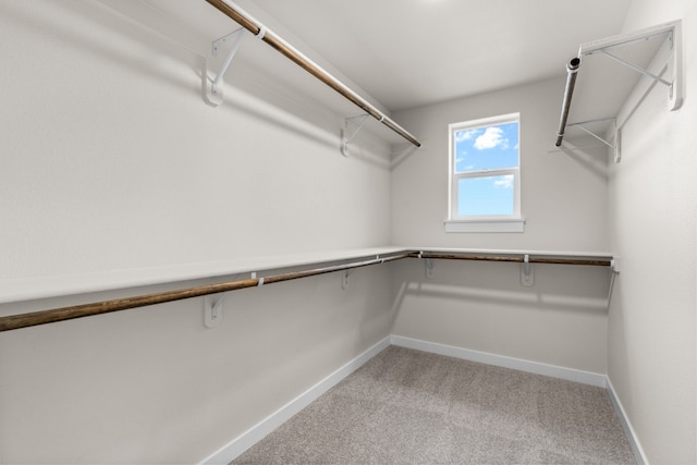 spacious closet with light colored carpet