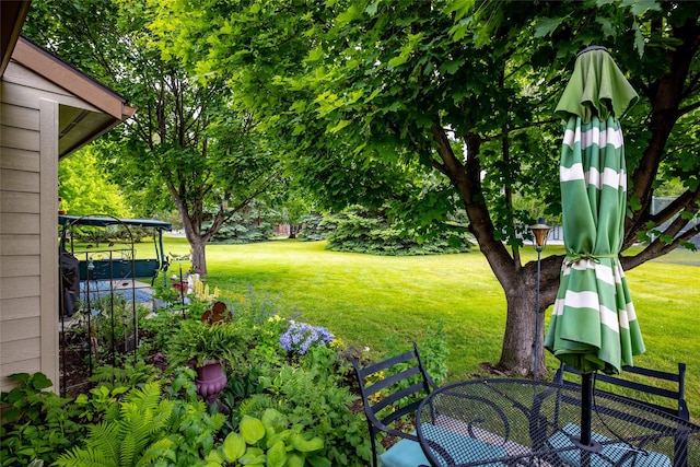 view of yard with a hot tub