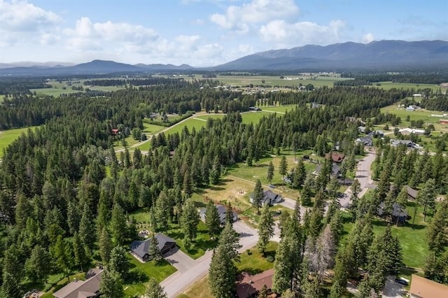 aerial view featuring a mountain view