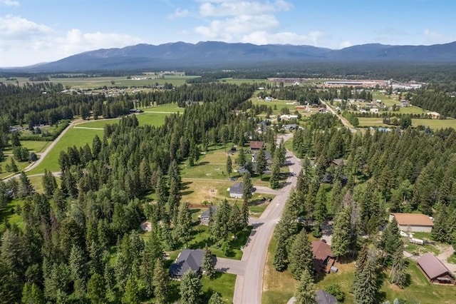 aerial view featuring a mountain view