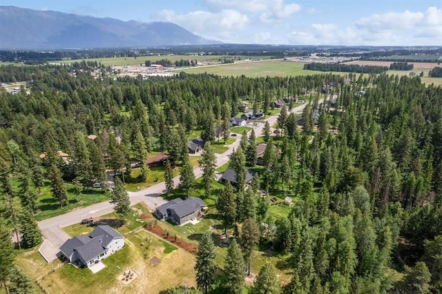 birds eye view of property with a mountain view