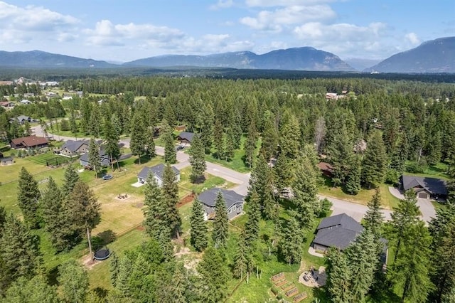 drone / aerial view with a mountain view