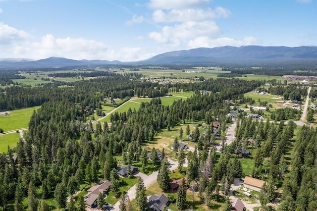 aerial view with a mountain view