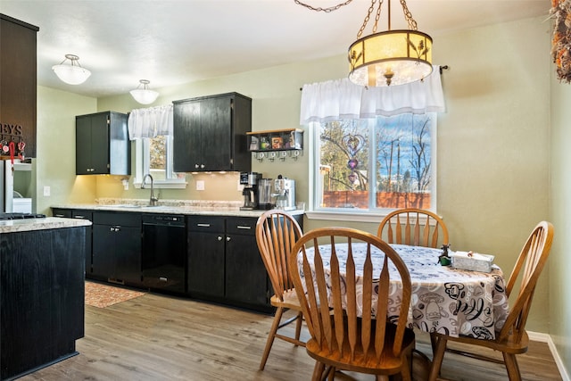 kitchen featuring dishwasher, light hardwood / wood-style flooring, hanging light fixtures, and sink