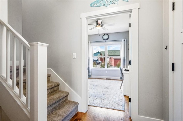 foyer with ceiling fan and hardwood / wood-style floors