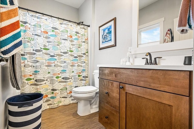 bathroom featuring toilet, vanity, and wood-type flooring