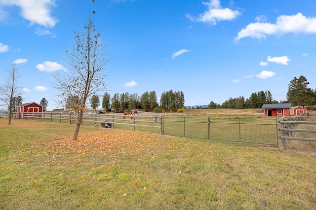 view of yard with a rural view