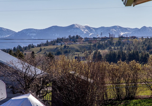 view of mountain feature
