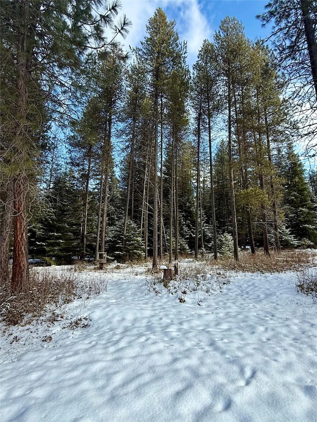 view of snowy view