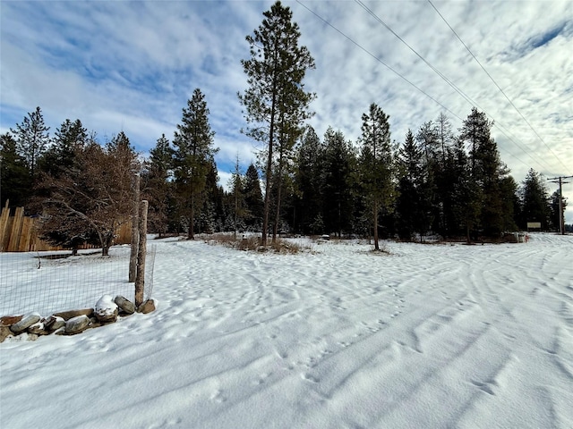 view of yard covered in snow