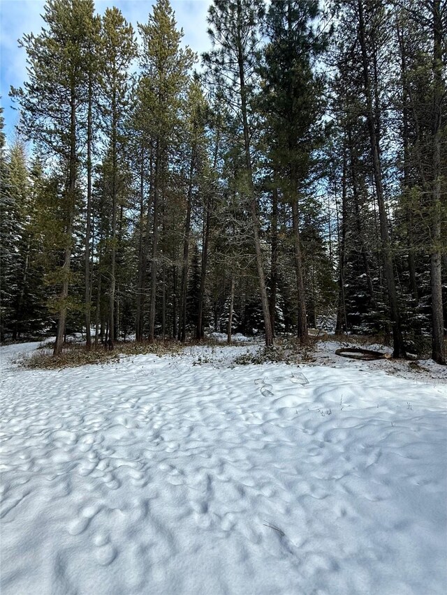 view of snowy yard