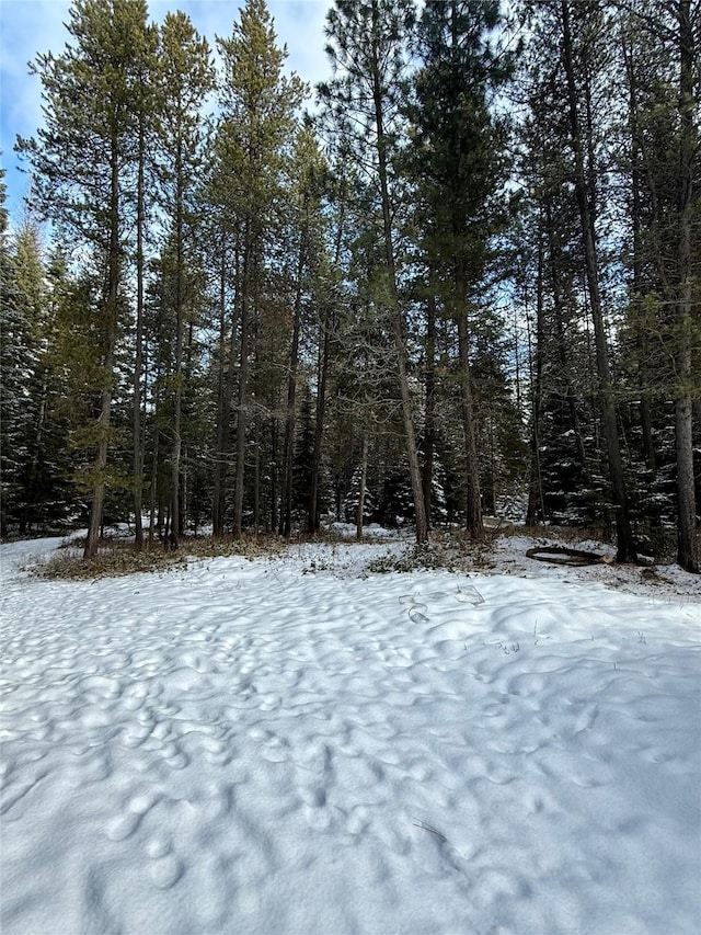 view of yard covered in snow