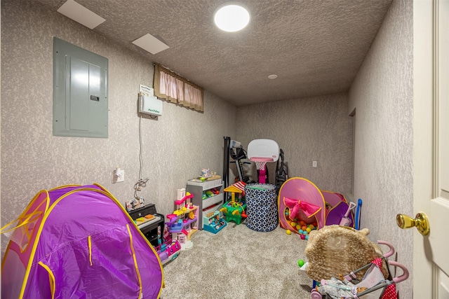 recreation room with a textured ceiling, electric panel, and carpet flooring