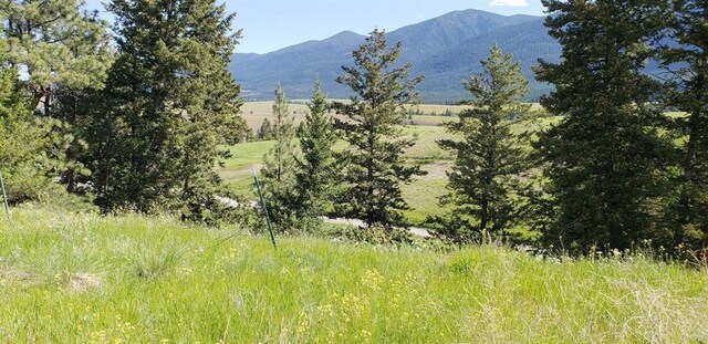 172 Grassy Loop, Eureka, MT 59917