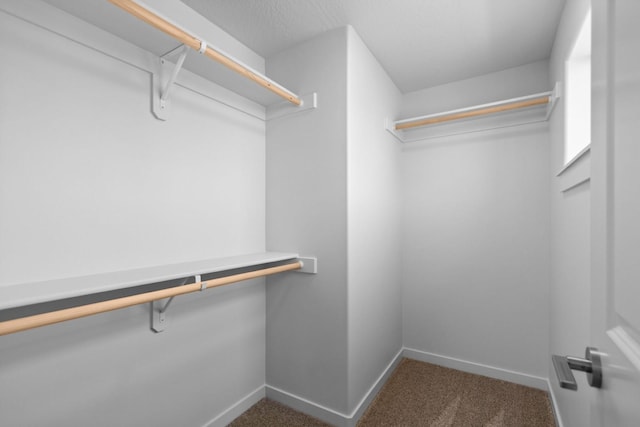 5843 Horn Rd, Missoula, MT 59808 - walk in closet featuring carpet floors