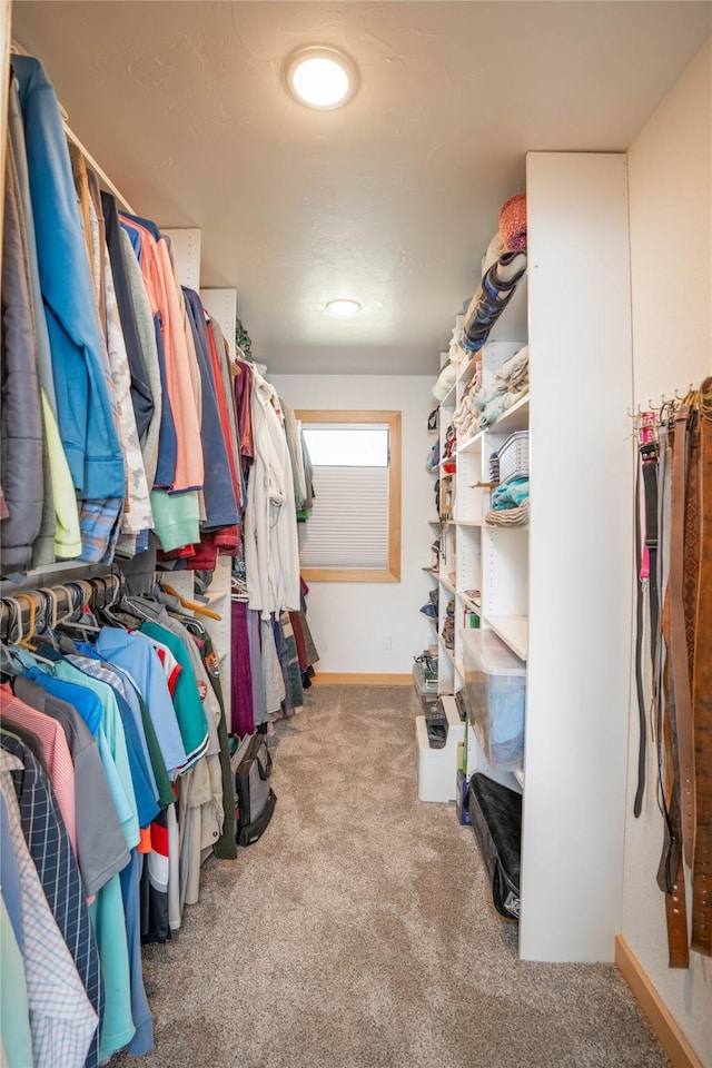 spacious closet featuring light carpet