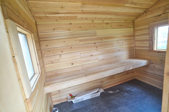 7 Hardy Cir, Ennis, MT 59729 - sauna featuring wood walls and wooden ceiling