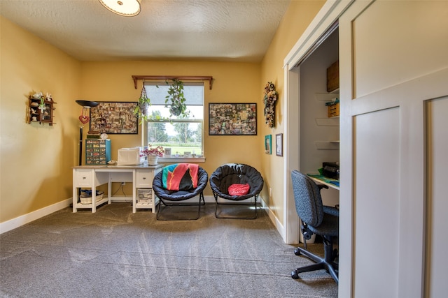 carpeted office space with a textured ceiling