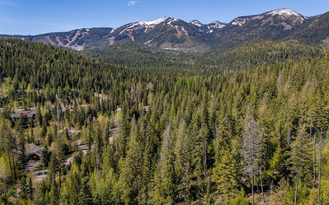 165 Woodland Star Cir, Whitefish, MT 59937