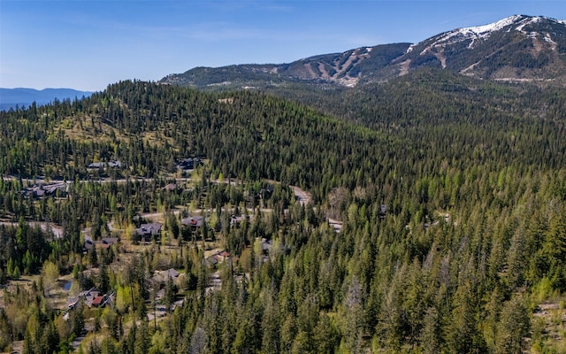 165 Woodland Star Cir, Whitefish, MT 59937