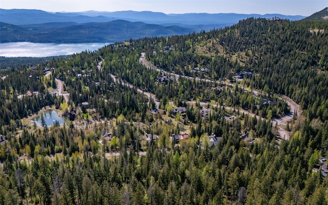 165 Woodland Star Cir, Whitefish, MT 59937