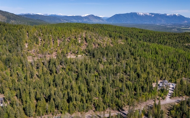 165 Woodland Star Cir, Whitefish, MT 59937