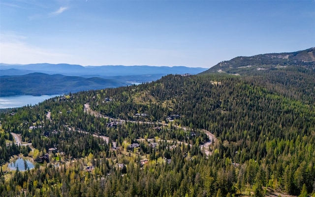 165 Woodland Star Cir, Whitefish, MT 59937