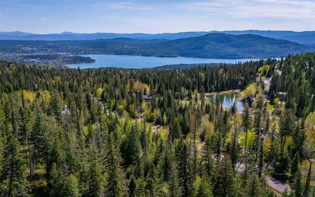 165 Woodland Star Cir, Whitefish, MT 59937