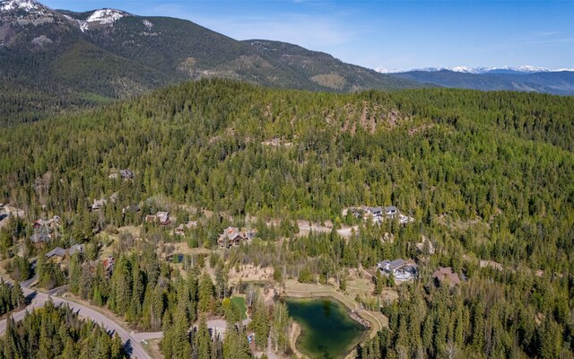165 Woodland Star Cir, Whitefish, MT 59937