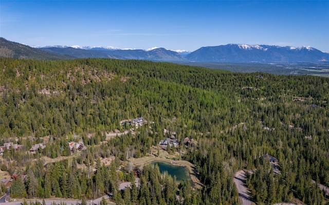 165 Woodland Star Cir, Whitefish, MT 59937