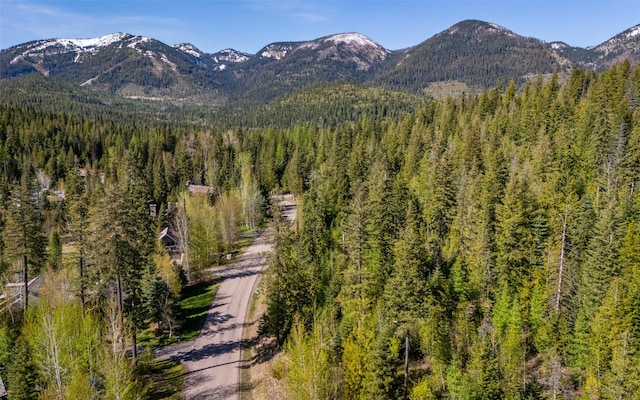 165 Woodland Star Cir, Whitefish, MT 59937