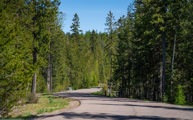 165 Woodland Star Cir, Whitefish, MT 59937