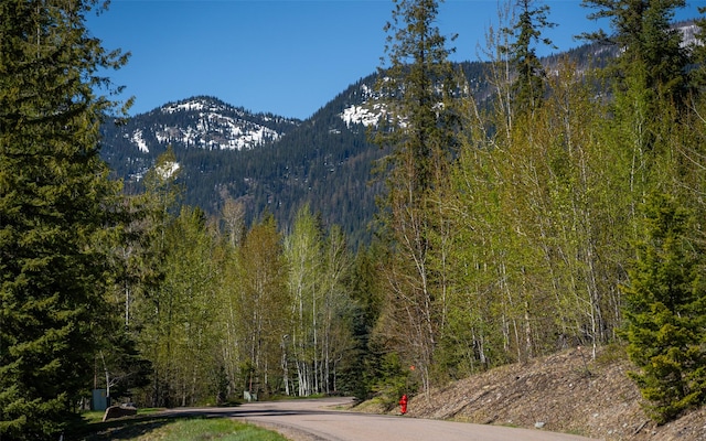 165 Woodland Star Cir, Whitefish, MT 59937