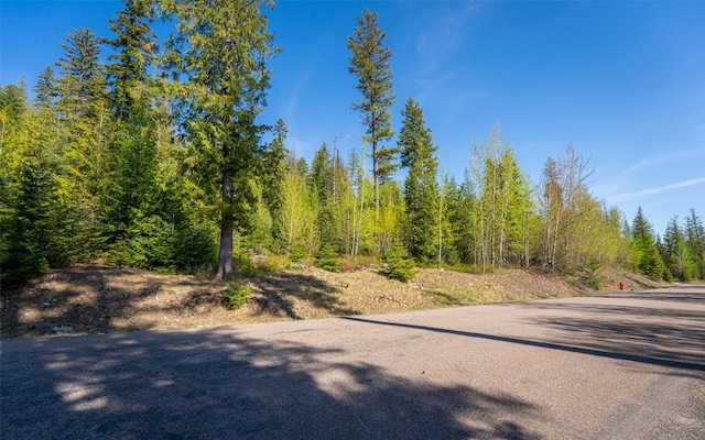 165 Woodland Star Cir, Whitefish, MT 59937