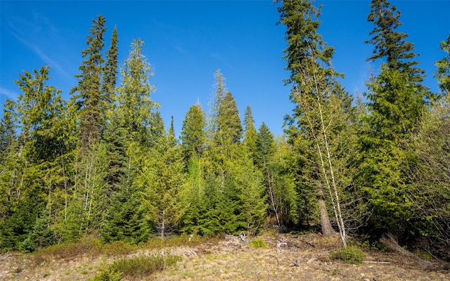 165 Woodland Star Cir, Whitefish, MT 59937