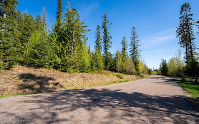165 Woodland Star Cir, Whitefish, MT 59937