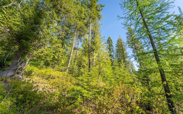 165 Woodland Star Cir, Whitefish, MT 59937