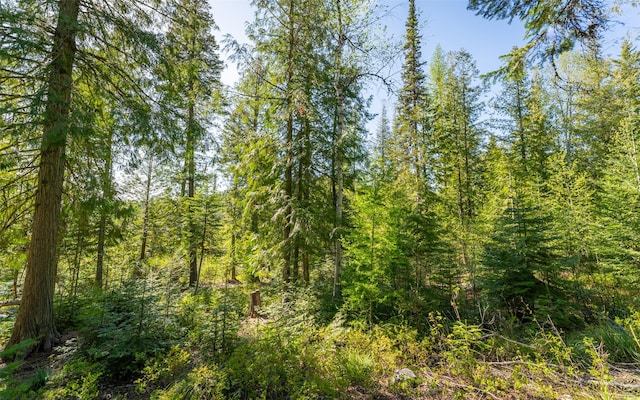 165 Woodland Star Cir, Whitefish, MT 59937