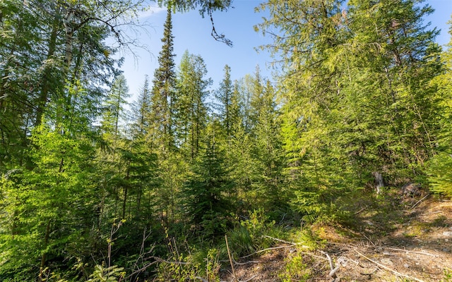 165 Woodland Star Cir, Whitefish, MT 59937