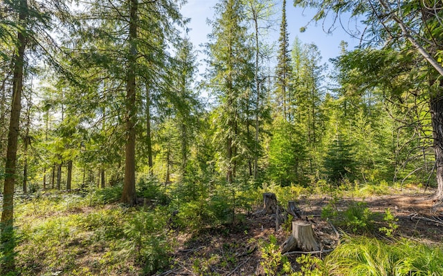 165 Woodland Star Cir, Whitefish, MT 59937