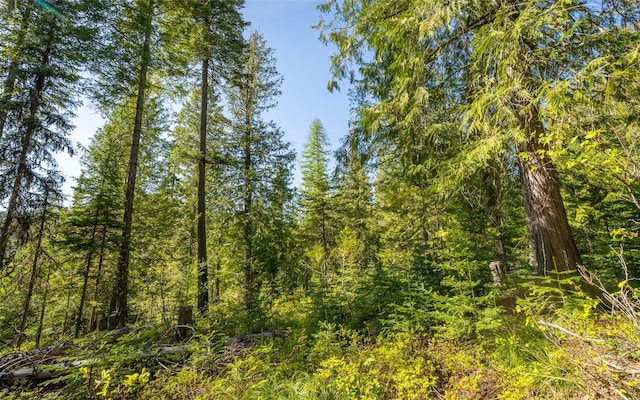 165 Woodland Star Cir, Whitefish, MT 59937