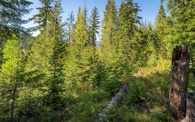 165 Woodland Star Cir, Whitefish, MT 59937