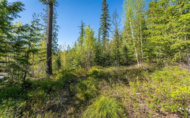 165 Woodland Star Cir, Whitefish, MT 59937
