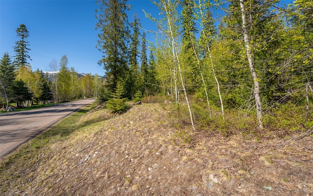 165 Woodland Star Cir, Whitefish, MT 59937