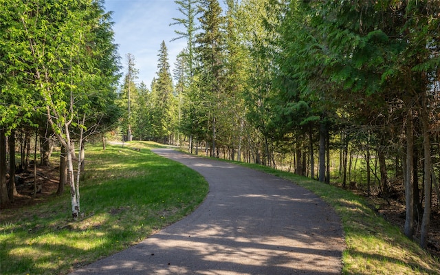 165 Woodland Star Cir, Whitefish, MT 59937