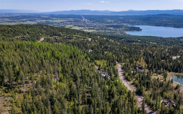 165 Woodland Star Cir, Whitefish, MT 59937