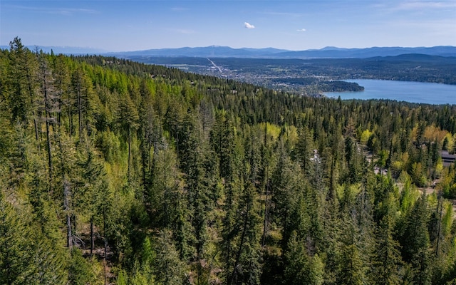 165 Woodland Star Cir, Whitefish, MT 59937